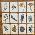 Your Wild Memory Card Game
